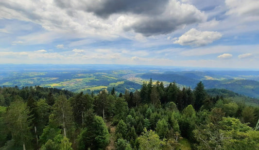 Feinkost in Zell im Wiesental