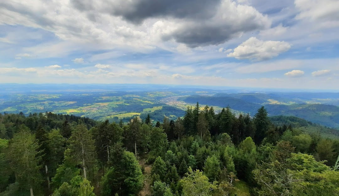 Feinkost in Zell im Wiesental